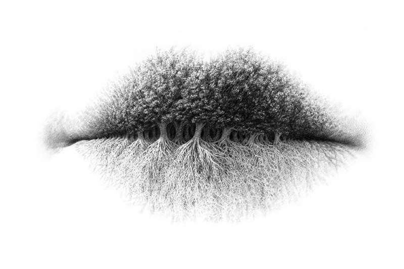 第一眼心理測驗:你看到的是嘴唇、森林還是樹根? 第一眼心理測驗:你看到的是嘴唇、森林還是樹根?