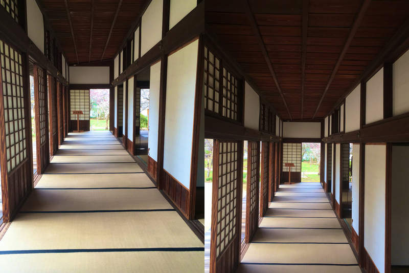 155公分vs.186公分《不同身高看到的視角》日本民房原來這麼適合矮個居住？