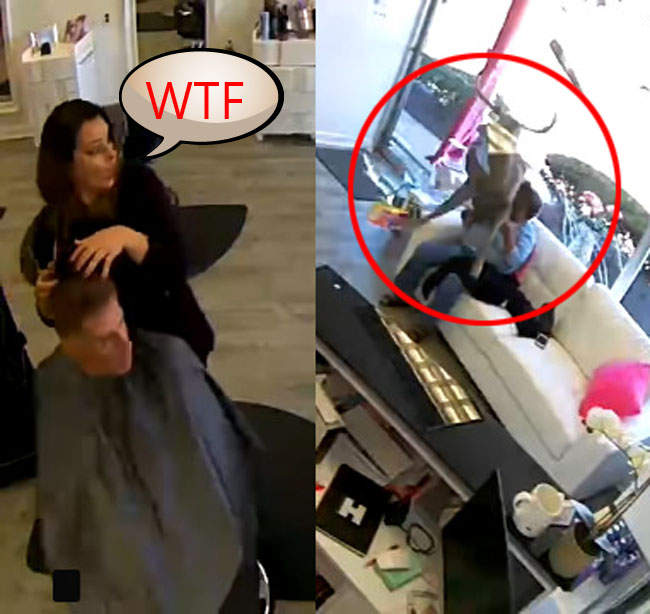 【有片】《爆窗闖進理髮店的鹿》日本網友表示這在奈良不就是日常嗎(誤)