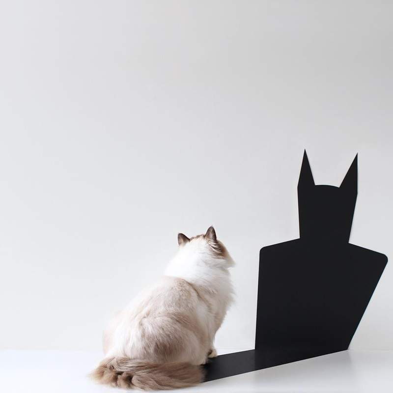 超舒適風格《極簡風攝影》用簡單的創意遊走二、三次元 超舒適風格《極簡風攝影》用簡單的創意遊走二、三次元