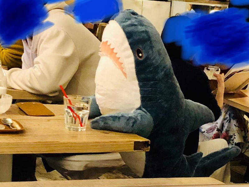 爆紅的《IKEA鯊魚抱枕》店員也給了鯊魚一杯水www 爆紅的《IKEA鯊魚抱枕》店員也給了鯊魚一杯水www