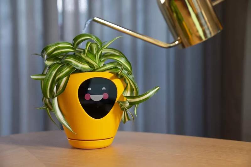 外網話題新創產品《電子雞植物Lua》可以跟"飼主"互動的盆栽 養死罪惡感也會加倍... 外網話題新創產品《電子雞植物Lua》可以跟"飼主"互動的盆栽 養死罪惡感也會加倍...