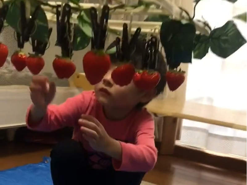 【有片】男友的失約的採草莓效應《在家採草莓》原來草莓是從衣架上長出來的(誤 【有片】男友的失約的採草莓效應《在家採草莓》原來草莓是從衣架上長出來的(誤