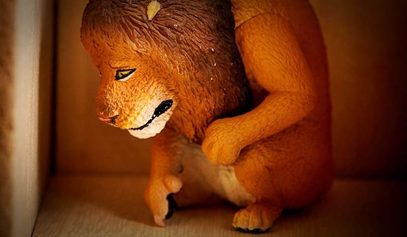 雖小臉動物盒玩《可不可以不勇敢》兇猛禽獸的內心也有柔軟傷心處，默默縮在角落畫圈圈…