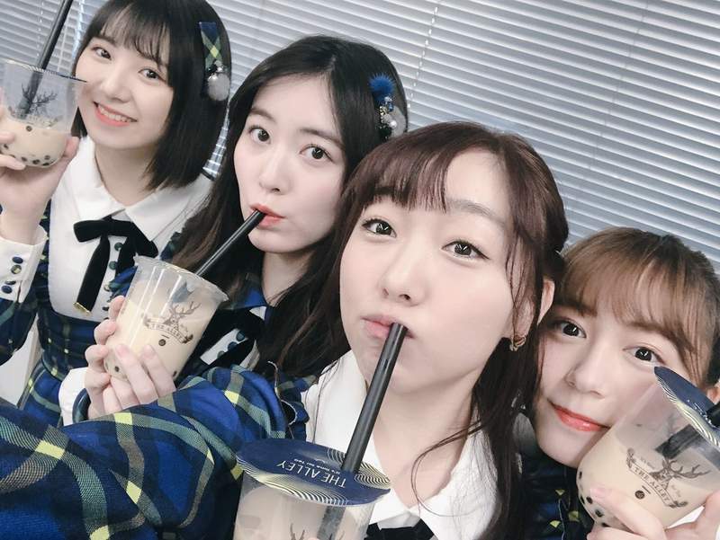 《珍珠由來冷知識》喝珍珠奶茶怎能不知珍珠是什麼？其實是珍珠魚的卵……