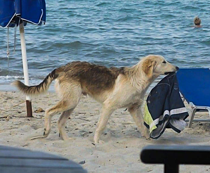 《悲劇的一天》風水輪流轉 每個人都有倒楣的時候 《悲劇的一天》風水輪流轉 每個人都有倒楣的時候