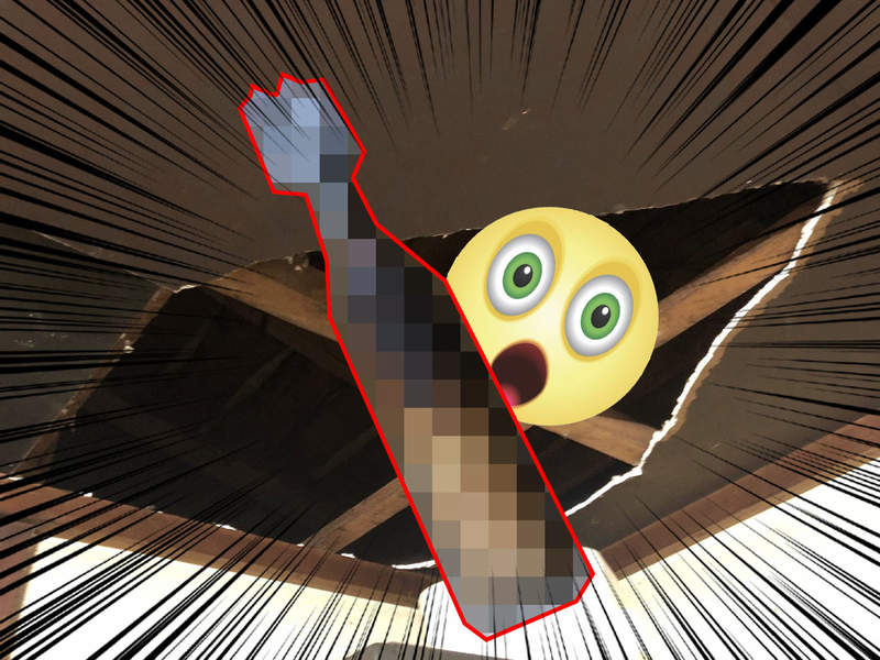 19號颱風哈吉貝《超強威力讓網友家中掉出迫擊砲彈》這還真是意想不到的禮物啊(汗) 19號颱風哈吉貝《超強威力讓網友家中掉出迫擊砲彈》這還真是意想不到的禮物啊(汗)