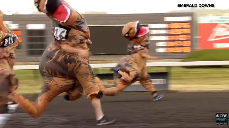 【有片】超搞笑的《暴龍賽跑》30位選手們張牙舞爪又歪頭的模樣把大家樂歪惹