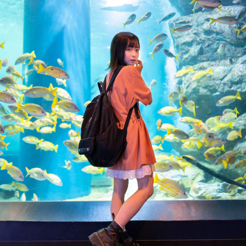 校園正妹選拔驚見合法蘿莉《大渕野野花》146公分的身高彷彿國中生混進女大生中...