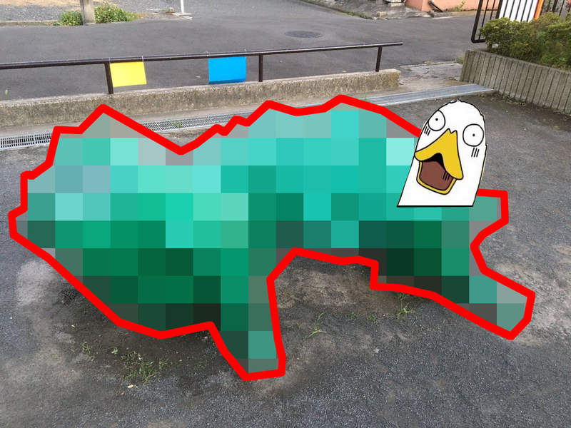 網友發現《公園內吸收其他生命的遊具》SCP還不快來把它帶走 網友發現《公園內吸收其他生命的遊具》SCP還不快來把它帶走