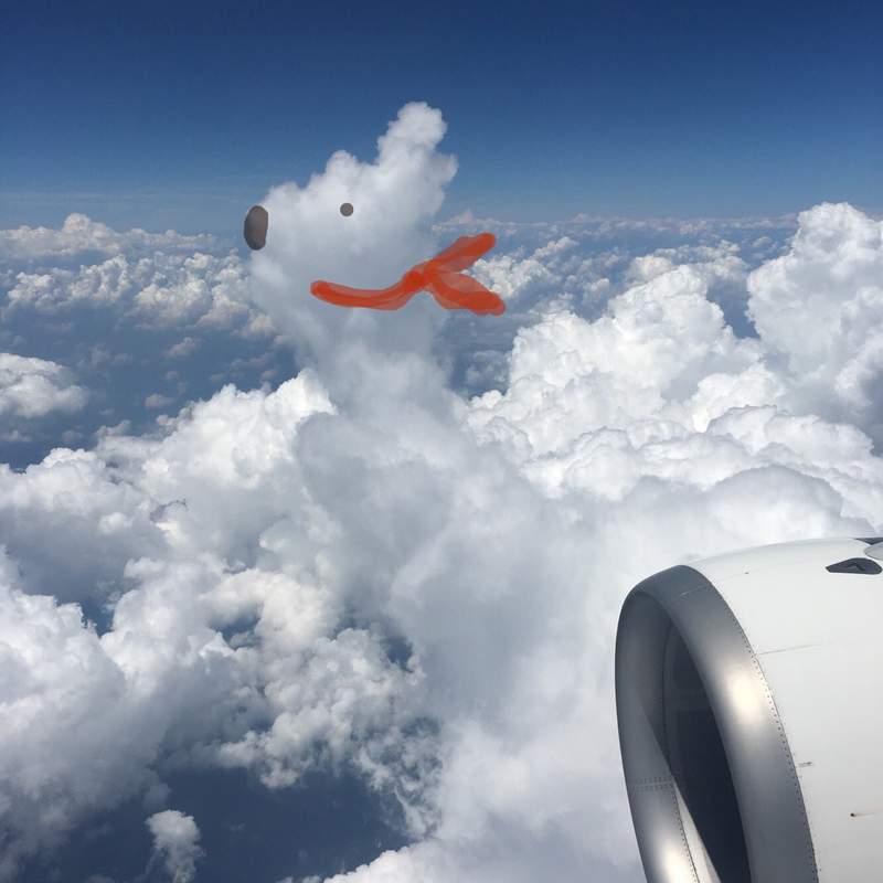 搭飛機的打發時間妙招《雲朵塗鴉》無聊的飛行時間原來也可以這麼有趣