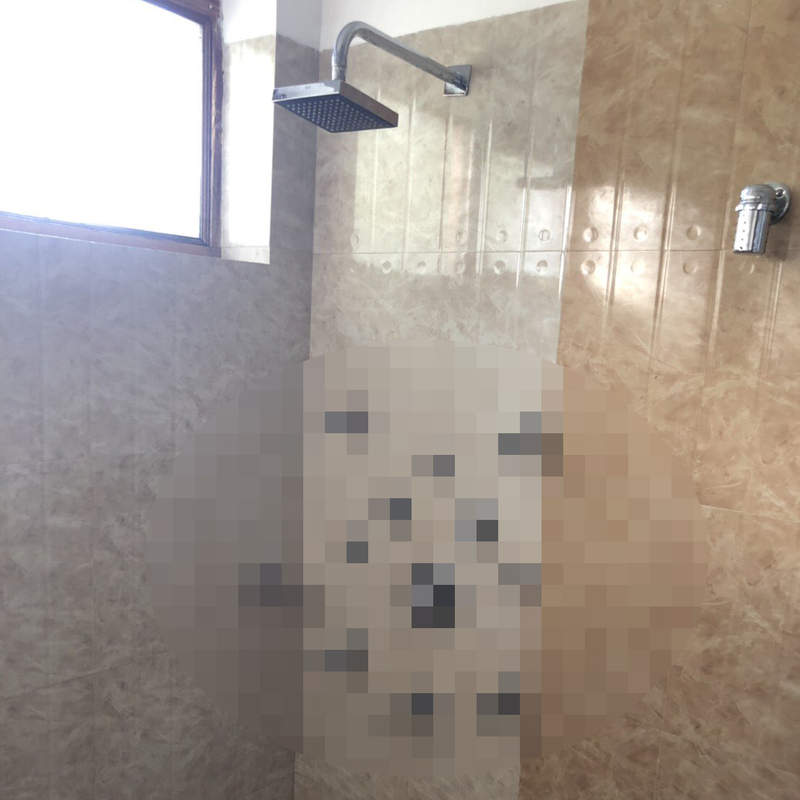 印度飯店驚見《高難度淋浴間》想洗澡還得先解正確開關之謎... 印度飯店驚見《高難度淋浴間》想洗澡還得先解正確開關之謎...