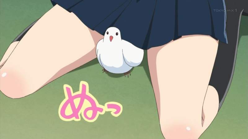 《歐巴桑亂餵鴿子和貓咪》鄰居被大便臭昏無法管 花錢照顧流浪動物反而應該感謝她? 《歐巴桑亂餵鴿子和貓咪》鄰居被大便臭昏無法管 花錢照顧流浪動物反而應該感謝她?