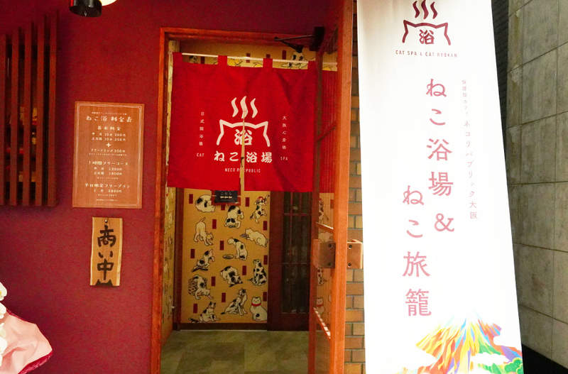 澡堂風流浪貓咖啡廳《貓浴場》被貓包圍的＂貓浴健康法＂讓你身心同時紓壓