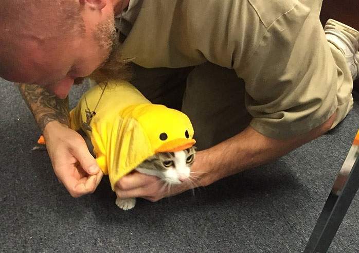 將貓咪引進監獄《改變受刑人的表情》現在他們看起來都懂了什麼叫愛...