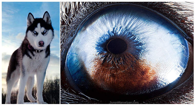 看透你的靈魂《眼鏡特寫》掀起靈魂之窗的窗簾吧