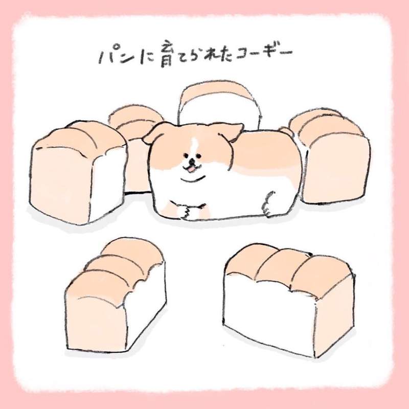 吐司會進化成柯基？《被食物養大的狗狗》你知道你家狗狗是哪種食物來的嗎？