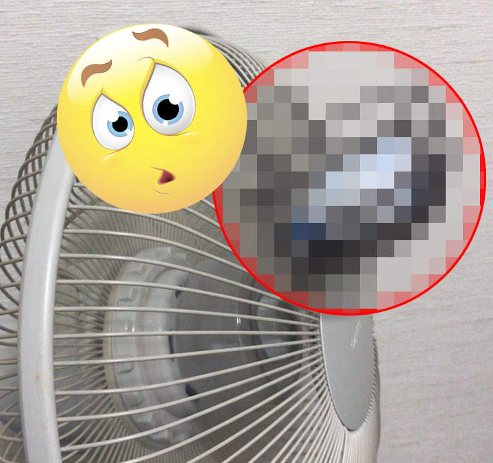 省電酷暑對策《加強電風扇冷度的方法》保冷劑結冰水通通給我用上去ღ(◔ڼ◔ღ)ミ 省電酷暑對策《加強電風扇冷度的方法》保冷劑結冰水通通給我用上去ღ(◔ڼ◔ღ)ミ