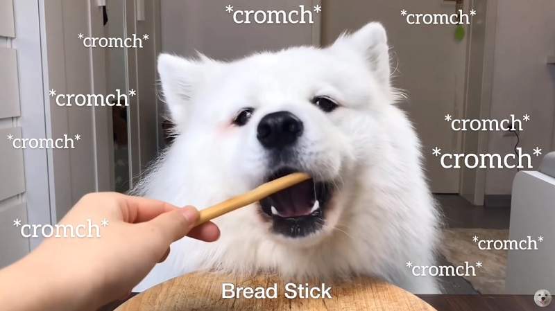 聽完好療癒《狗狗ASMR》同場加映另類的金融ASMR影片讓你睡好睡滿(欸) 聽完好療癒《狗狗ASMR》同場加映另類的金融ASMR影片讓你睡好睡滿(欸)