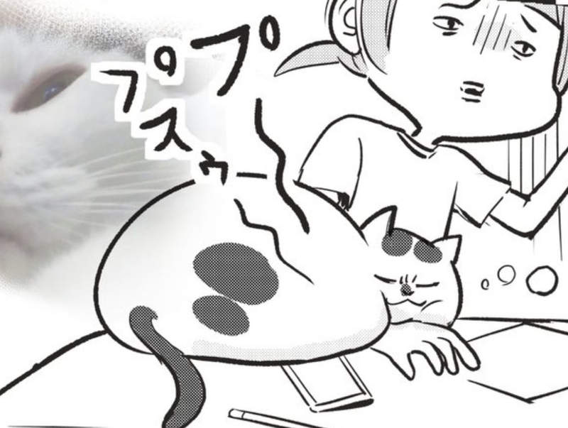 網路漫畫《討拍貓狗的不同》超極端態度身為主人就像天天在洗三溫暖一樣QQ