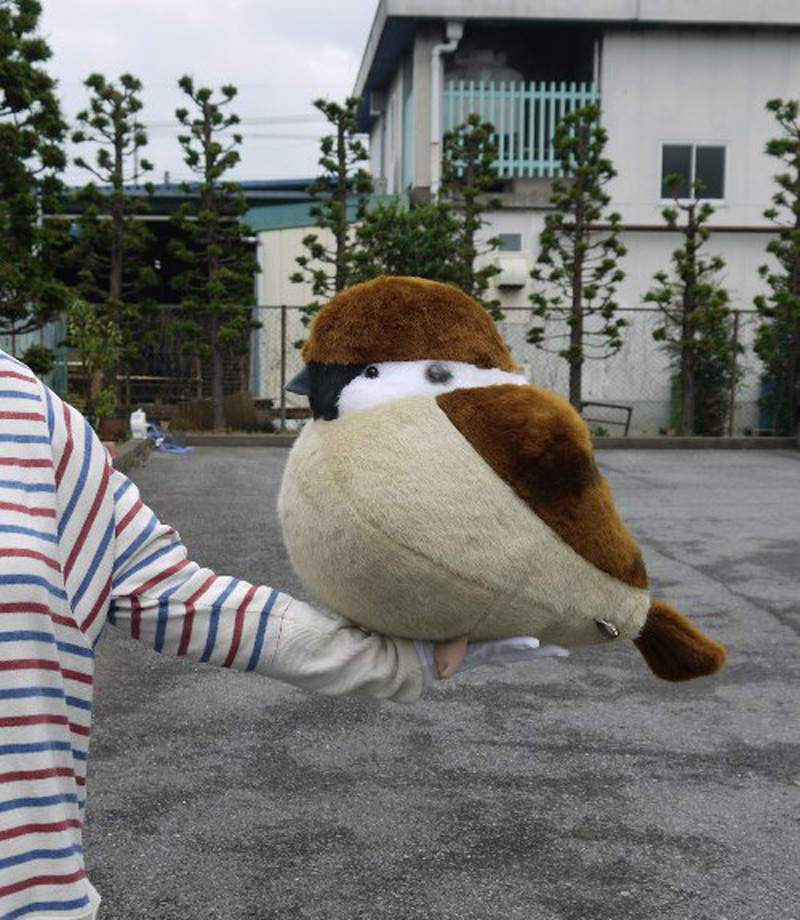 超治癒《肥嘟嘟鳥兒絨毛玩具》可以把臉直接埋進飽滿的肚肚中好幸福喔~~ 超治癒《肥嘟嘟鳥兒絨毛玩具》可以把臉直接埋進飽滿的肚肚中好幸福喔~~