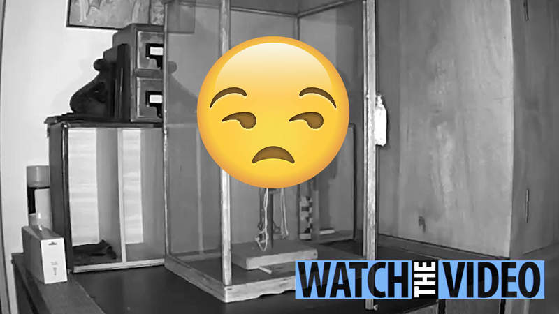 真實版安娜貝爾?《拍出靈異現象的腹語術娃娃》故事的最後告訴我們買條大鎖可以幫你解決一切問題XD 真實版安娜貝爾?《拍出靈異現象的腹語術娃娃》故事的最後告訴我們買條大鎖可以幫你解決一切問題XD