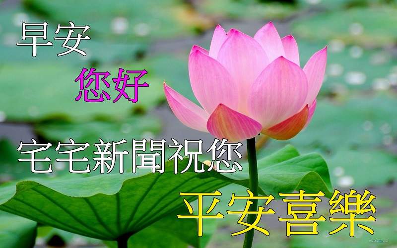看膩長輩圖了嗎?《自己的長輩圖自己做》讓長輩做長輩圖的結果是...? 看膩長輩圖了嗎?《自己的長輩圖自己做》讓長輩做長輩圖的結果是...?