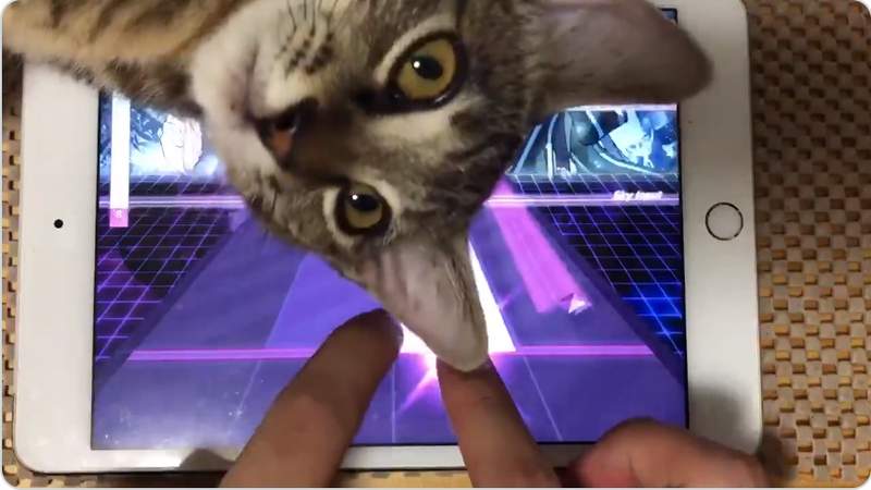 《超高難度節奏手遊》看貓奴如何在大魔王的干擾之下過關遊戲ww 《超高難度節奏手遊》看貓奴如何在大魔王的干擾之下過關遊戲ww