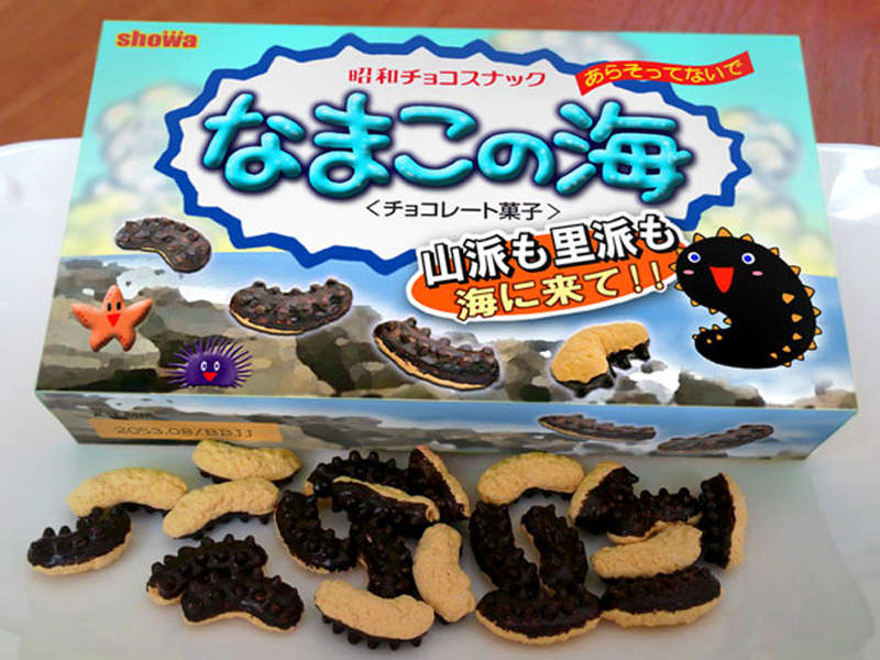 再見山寨零食《海參巧克力》繼山上的香菇、村裡的竹筍後竟然出現海中第三勢力！？