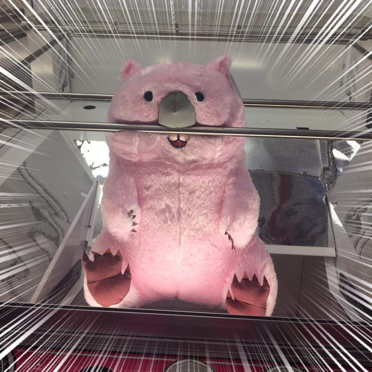 LINE貼文串《超狂娃娃機》夾娃娃機裡最衝擊的珍奇景品大集合 LINE貼文串《超狂娃娃機》夾娃娃機裡最衝擊的珍奇景品大集合