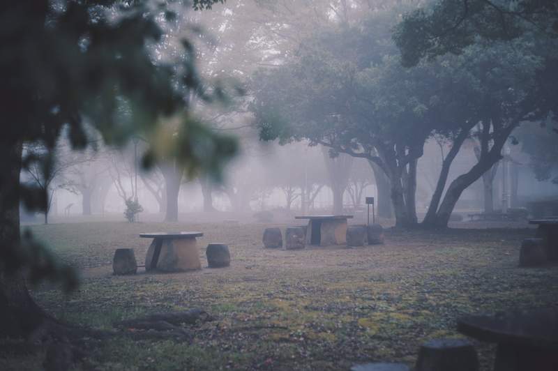 《日本關東濃霧》各地陷入《沉默之丘》狀態的異世界景象引發推特瘋傳...