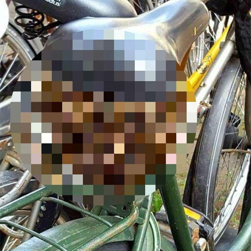 【閱覽注意】驚悚的《大自然景象》看到當下除了震驚還是震驚...