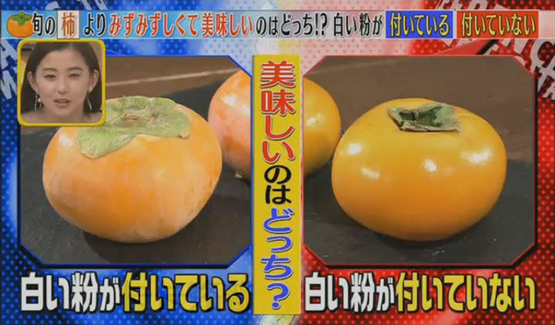 《柿子白粉的祕密》看起來像是農藥或是發霉了?內行人才會專挑果粉吃…… 《柿子白粉的祕密》看起來像是農藥或是發霉了?內行人才會專挑果粉吃……