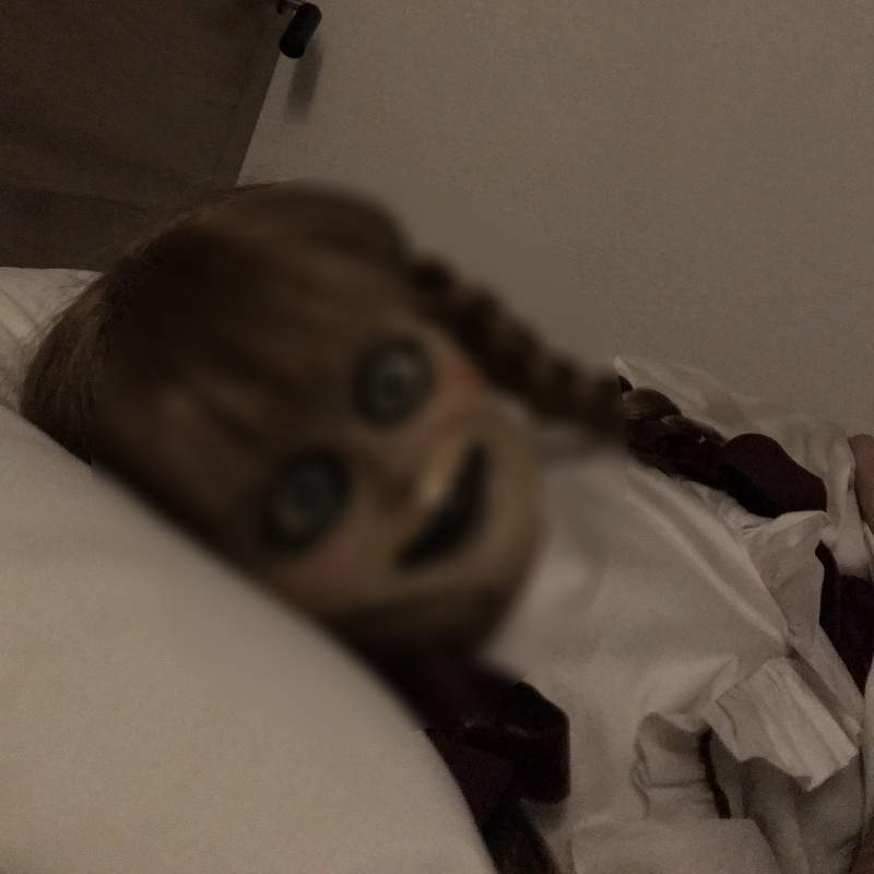 《安娜貝爾陪睡記》與安娜貝爾在飯店共度一夜的勇者公開當晚畫面... 《安娜貝爾陪睡記》與安娜貝爾在飯店共度一夜的勇者公開當晚畫面...