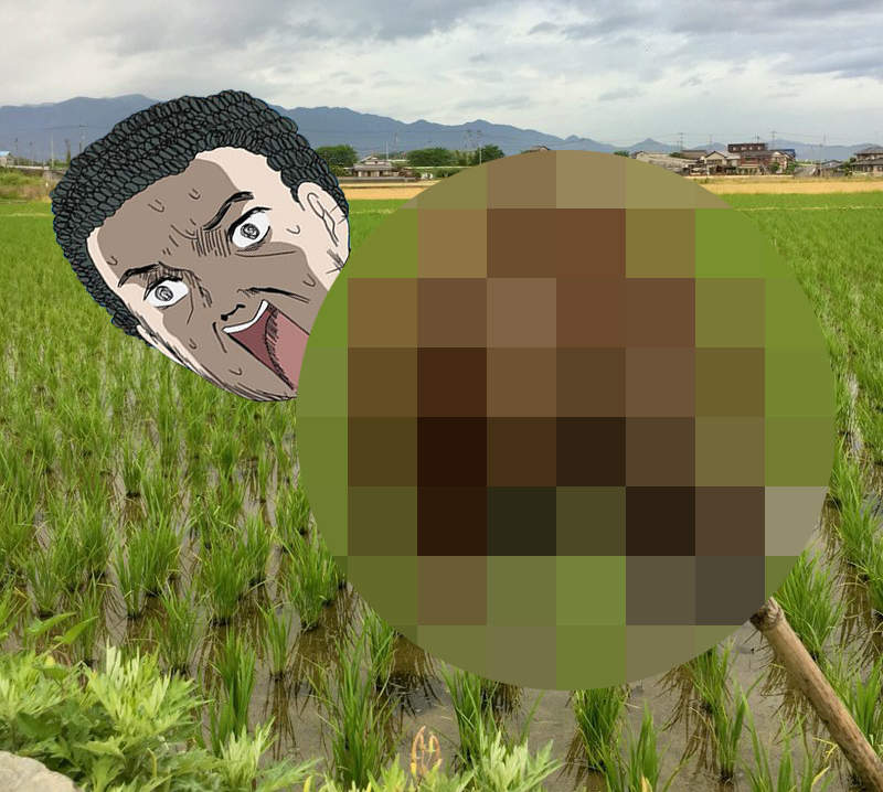 推特話題《不用鄉下兩個字來表現鄉下的方法》田野間的人頭稻草人這是要嚇人還是要嚇鳥？