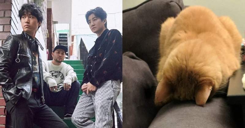 Epik High新歌《貓咪搖籃曲》真讓貓咪睡著了?貓奴表示:不用煩惱主子失眠問題了w Epik High新歌《貓咪搖籃曲》真讓貓咪睡著了?貓奴表示:不用煩惱主子失眠問題了w