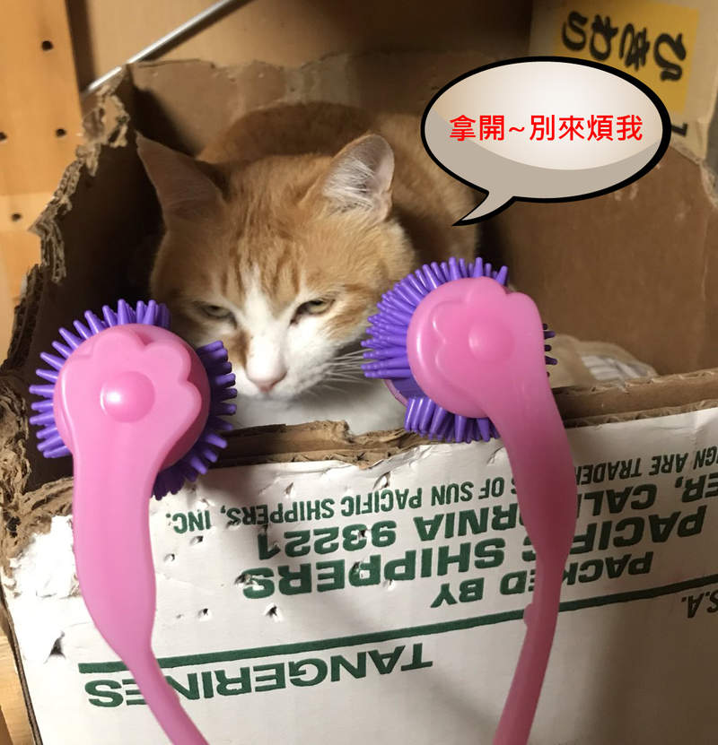 有貓就按讚《幫喵星人買按摩棒的結果》結果反而是狗狗最喜歡== 有貓就按讚《幫喵星人買按摩棒的結果》結果反而是狗狗最喜歡==