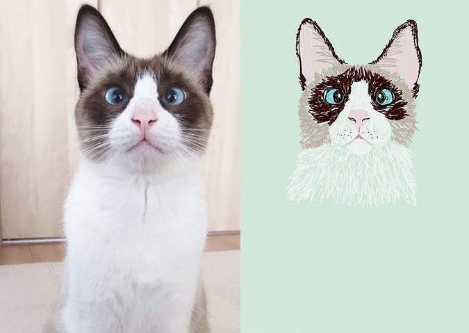 喵星人可愛注意《貓咪大頭畫》圖畫與照片神韻模樣都超像超好笑