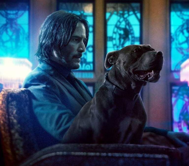 《捍衛任務3：全面開戰》全新預告 從一隻狗開始的戰鬥升級為戰爭了