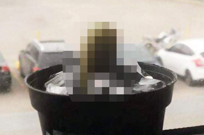 同事惡作劇《把仙人掌換成黃瓜》但網友認為受害者的想法不單純.......?! 同事惡作劇《把仙人掌換成黃瓜》但網友認為受害者的想法不單純.......?!