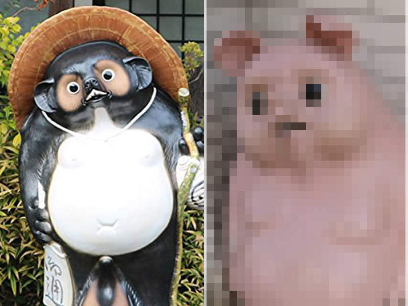 老家的豬排店把《狸貓改造成一隻豬》他表情好絕望喔...到底經歷了啥... 老家的豬排店把《狸貓改造成一隻豬》他表情好絕望喔...到底經歷了啥...