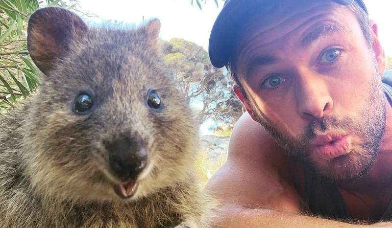 【有片】雷神索爾《克里斯漢斯沃》趴在地上向「短尾矮袋鼠」要親親,嘴對嘴餵食畫面超萌ღ 【有片】雷神索爾《克里斯漢斯沃》趴在地上向「短尾矮袋鼠」要親親,嘴對嘴餵食畫面超萌ღ