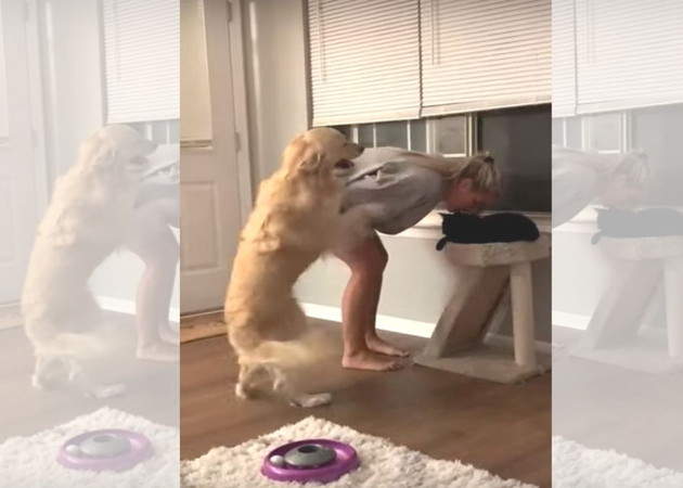 【有片】想要主人關心的《討拍狗》看著看著想想感情不就這麼回事嗎XD 【有片】想要主人關心的《討拍狗》看著看著想想感情不就這麼回事嗎XD