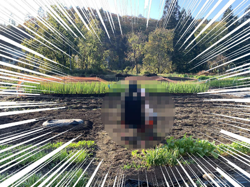 傑出的一手《壞掉的電競椅再利用法》不不!其實這是次世代的VR農場遊戲畫面 傑出的一手《壞掉的電競椅再利用法》不不!其實這是次世代的VR農場遊戲畫面