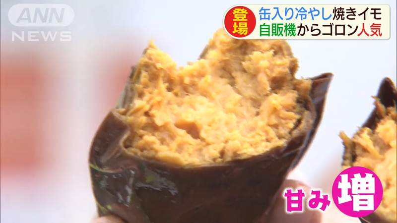 《冰烤地瓜自動販賣機》身心障礙創意商品引話題 冰涼口感夏天超清爽 《冰烤地瓜自動販賣機》身心障礙創意商品引話題 冰涼口感夏天超清爽