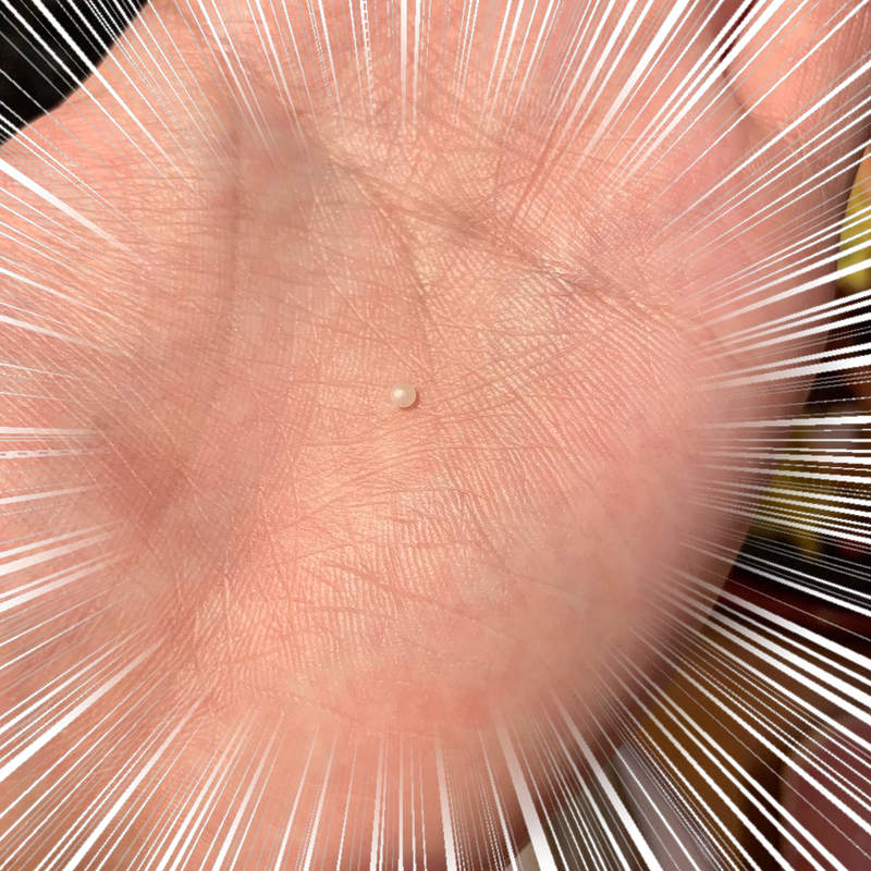 《吃燉飯吃到珍珠》薩莉亞燉飯裡發現珍珠竟然不只這一例！？