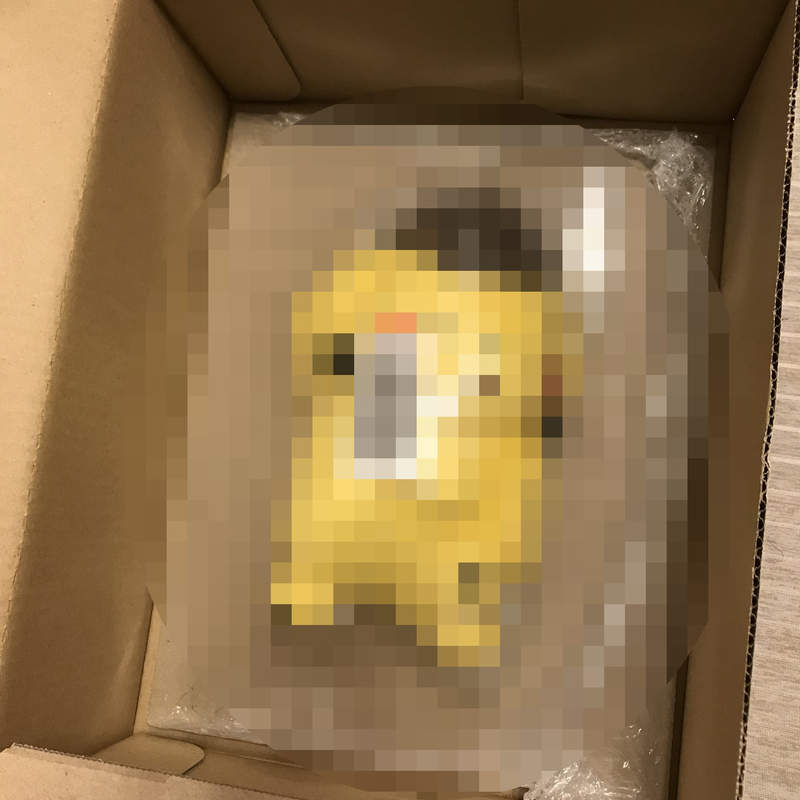 推民網購《雖小臉皮卡丘娃娃》開箱驚見瀕死狀態的痛苦表情！？