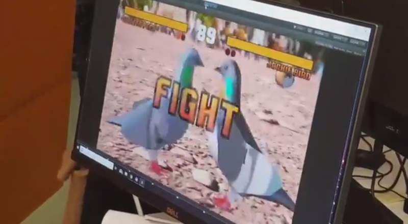 鴿鬥遊戲《鴿拳》好笑又激烈看我還不一巴掌拍死你(￣`Д´￣)9