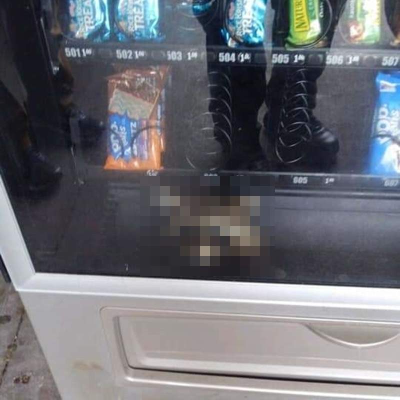 校園出現呆萌《販賣機小偷》犯案失敗的無辜萌顏讓人捨不得抓w 校園出現呆萌《販賣機小偷》犯案失敗的無辜萌顏讓人捨不得抓w