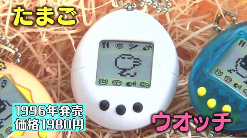 《開運鑑定團新奇寶物》爸爸收藏大量稀有電子雞 看到鑑定價格妻女興奮想賣錢…… 《開運鑑定團新奇寶物》爸爸收藏大量稀有電子雞 看到鑑定價格妻女興奮想賣錢……